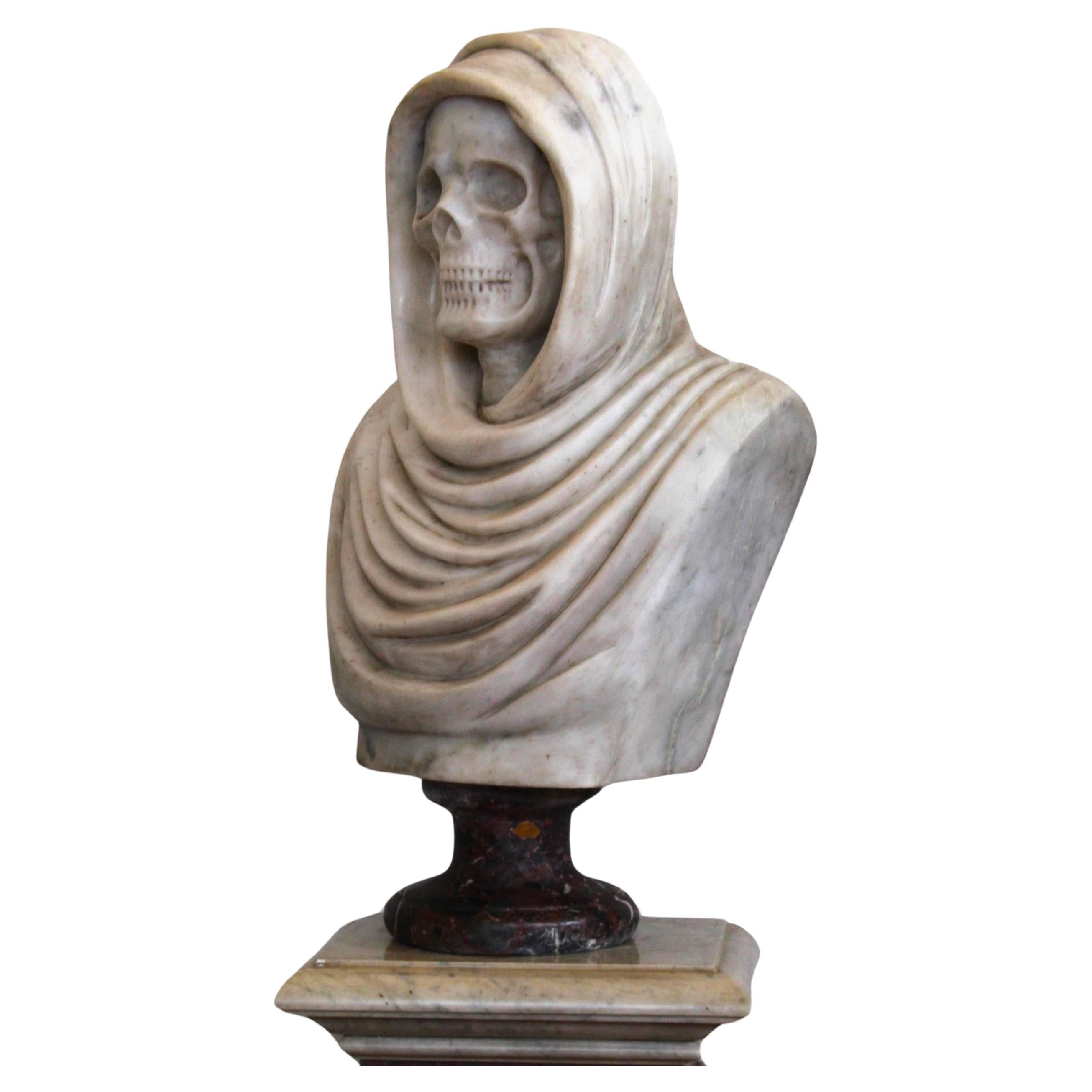 Skull Wrapped In Marble