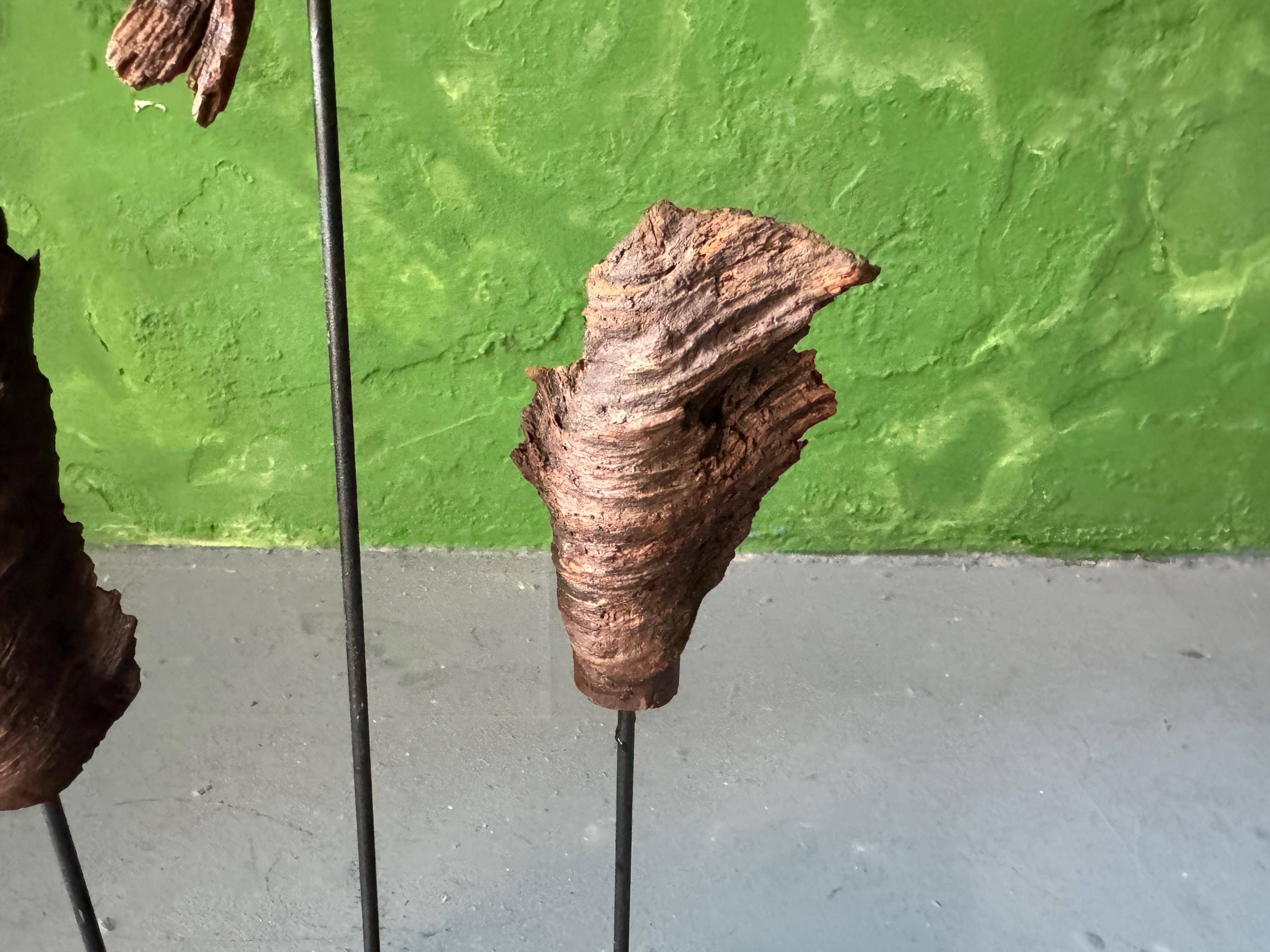 Escultura Natur de Markus Friedrich Staab Otro en venta