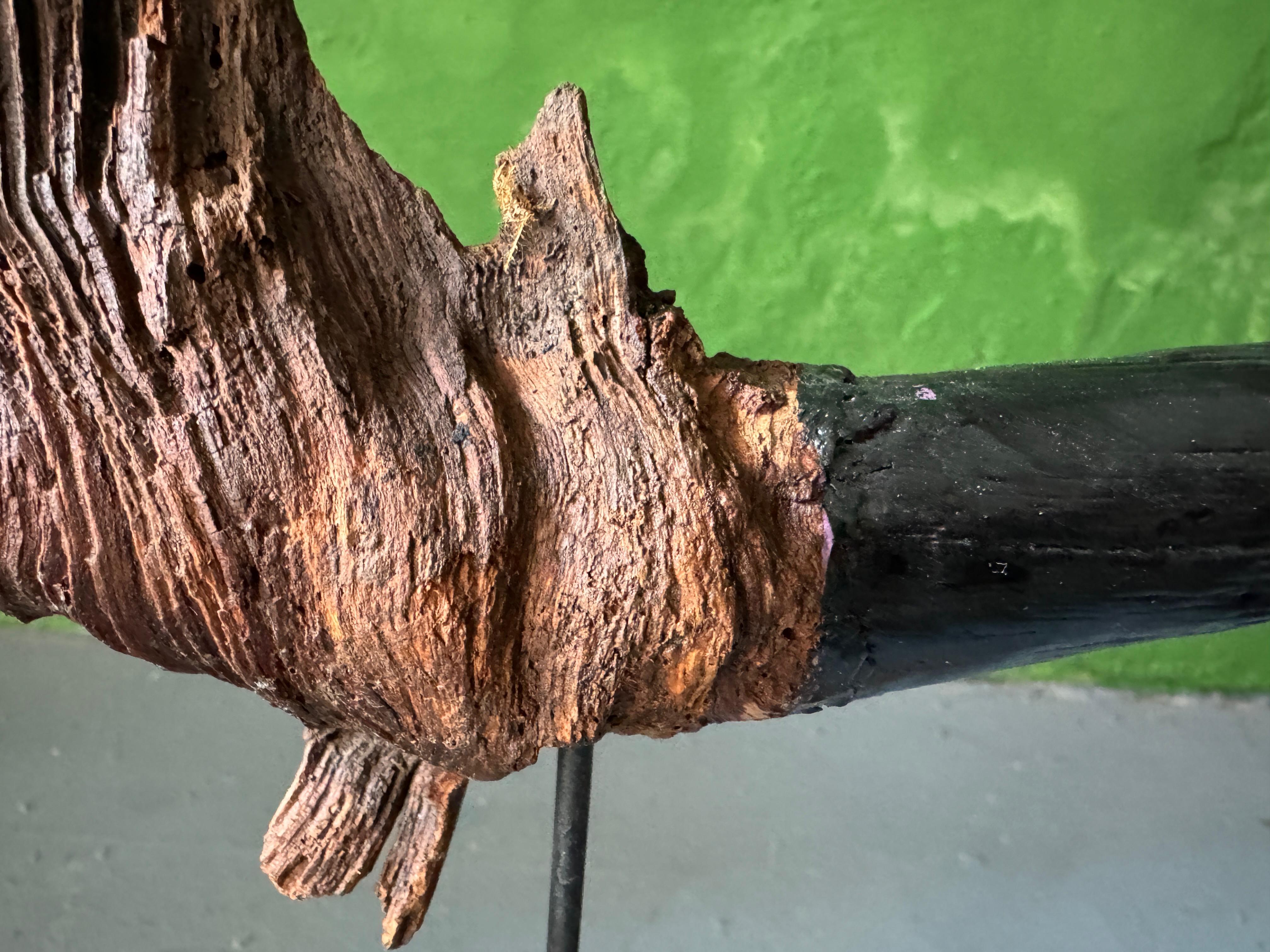 Escultura Natur de Markus Friedrich Staab Siglo XXI y contemporáneo en venta