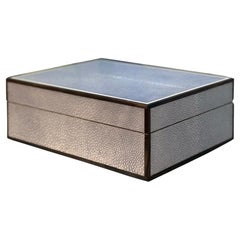 Sky Blue Shagreen and Macassar Ebony Box with Bone Inlay