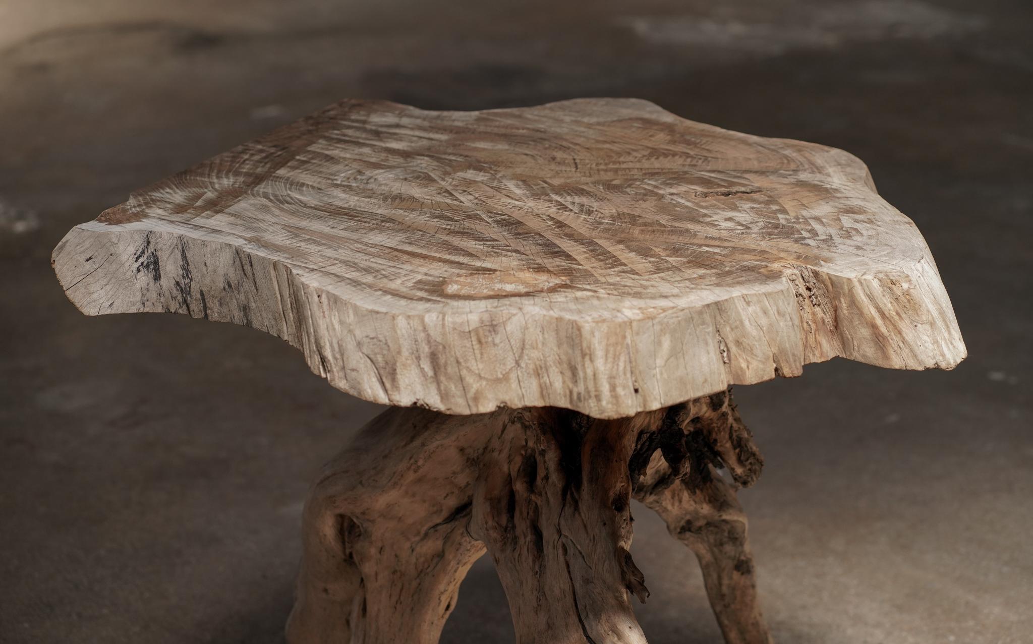 Esta mesa auxiliar japonesa de raíz de losa tiene una forma orgánica, con una base abstracta que muestra la belleza de su diseño natural. Su madera ricamente envejecida y patinada cuenta una historia del tiempo, añadiendo profundidad y carácter a