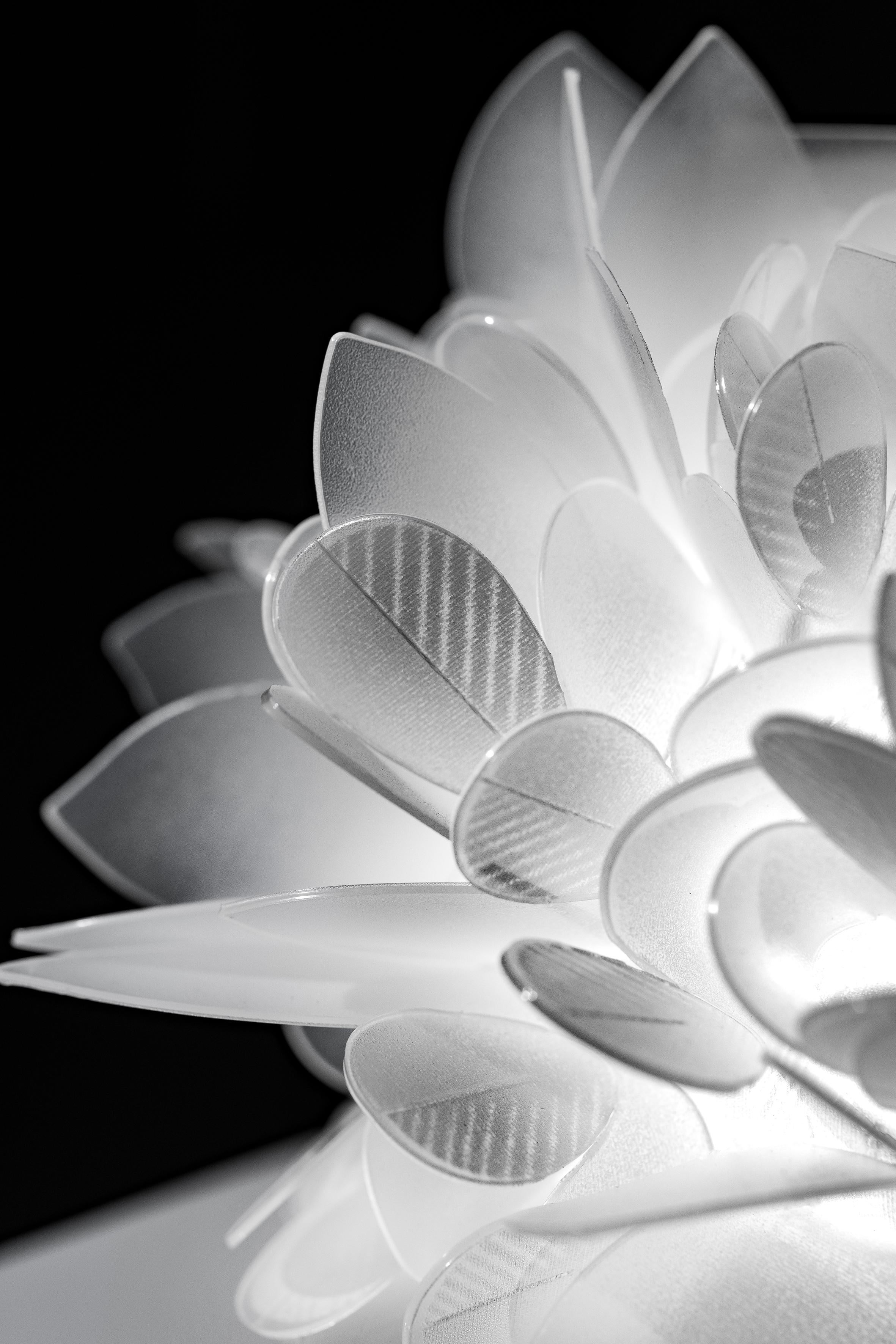 XXIe siècle et contemporain SLAMP Veli Moyen  Foliage de Adriano Rachele en vente