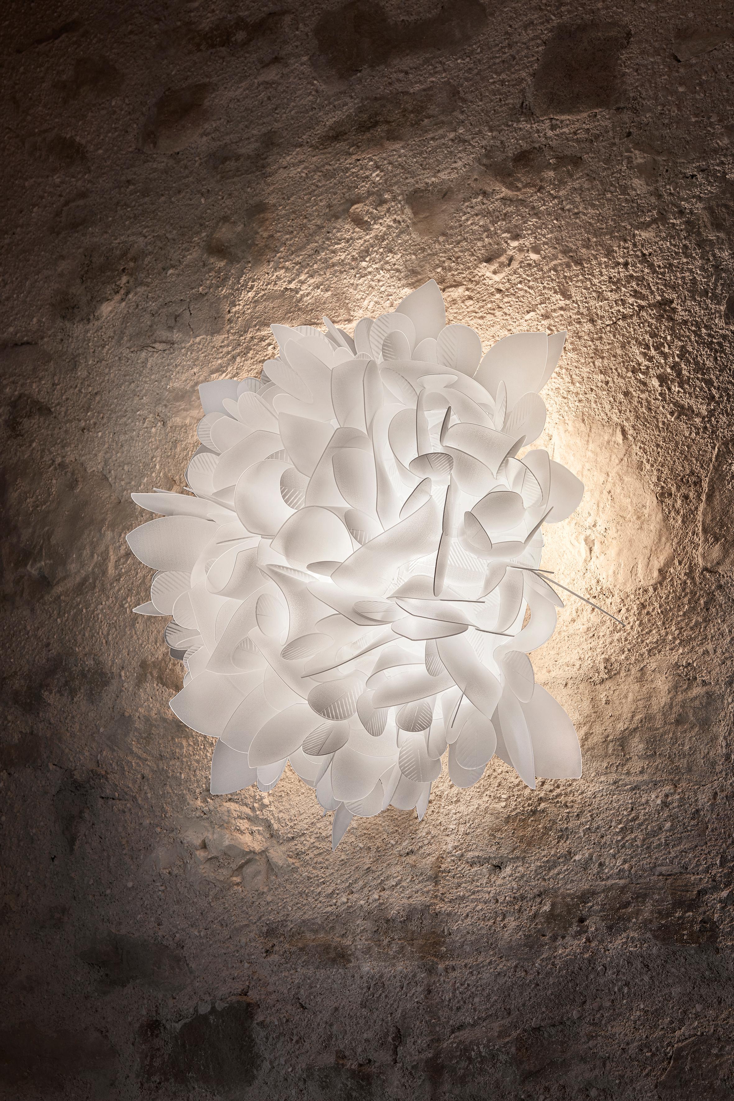 Autre SLAMP Veli Moyen  Foliage de Adriano Rachele en vente