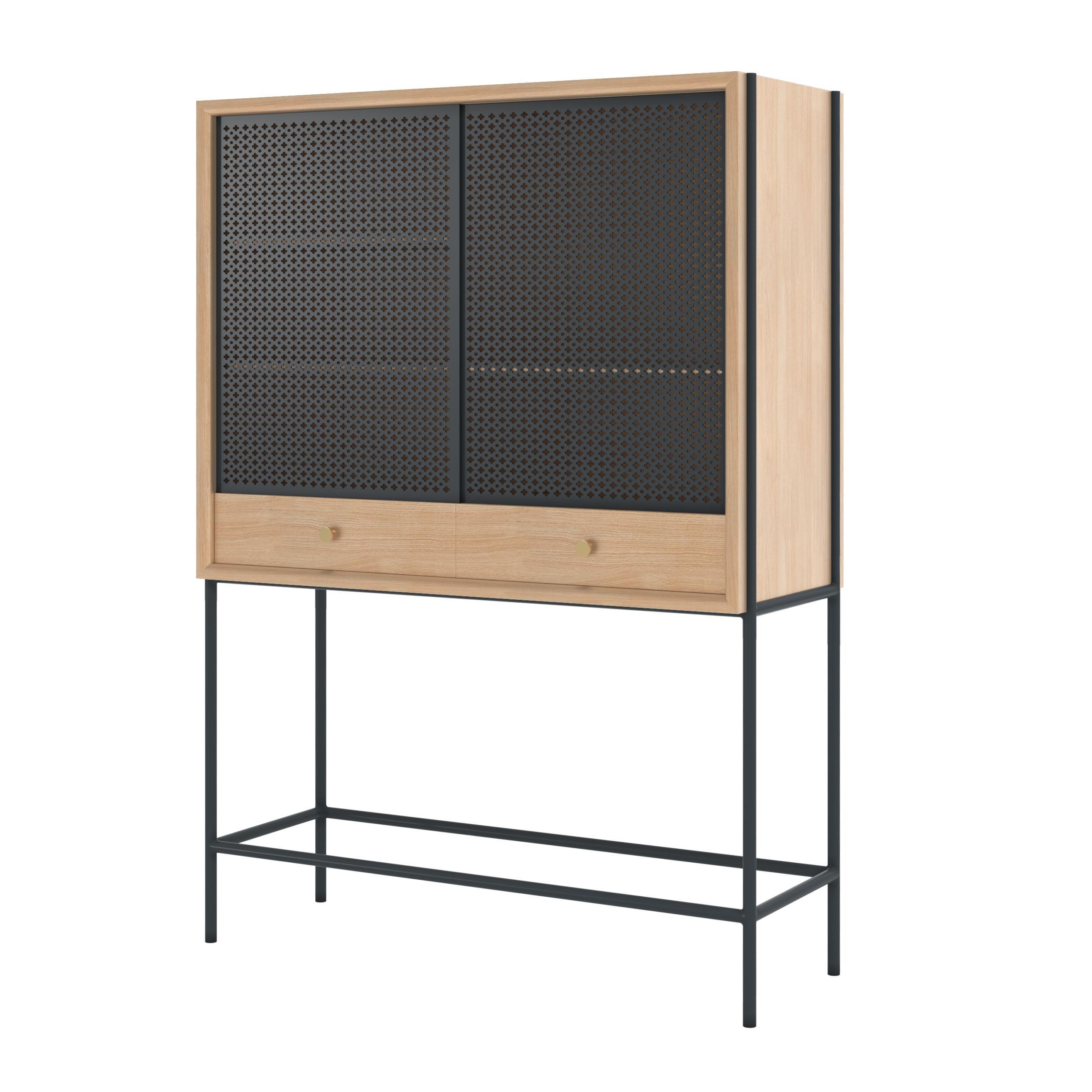 Postmoderno Armadio Gabin in metallo grigio ardesia Nature Oak di HARTO in vendita