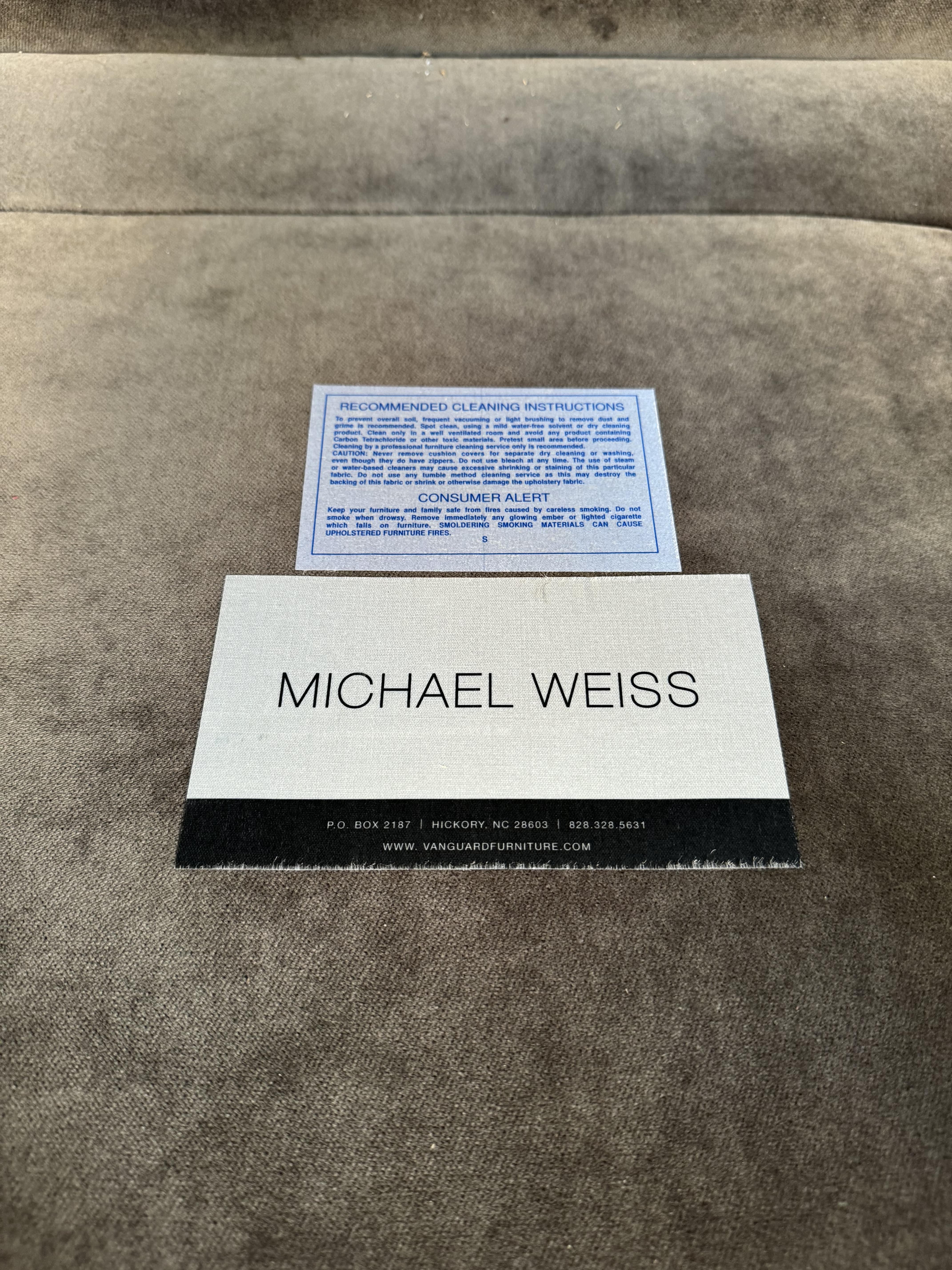Sleek Lounge Chair by Michael Weiss For Sale 3