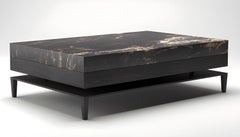 Sleek Wood and Stone "Modern" Coffee Table, Parisii Collection
