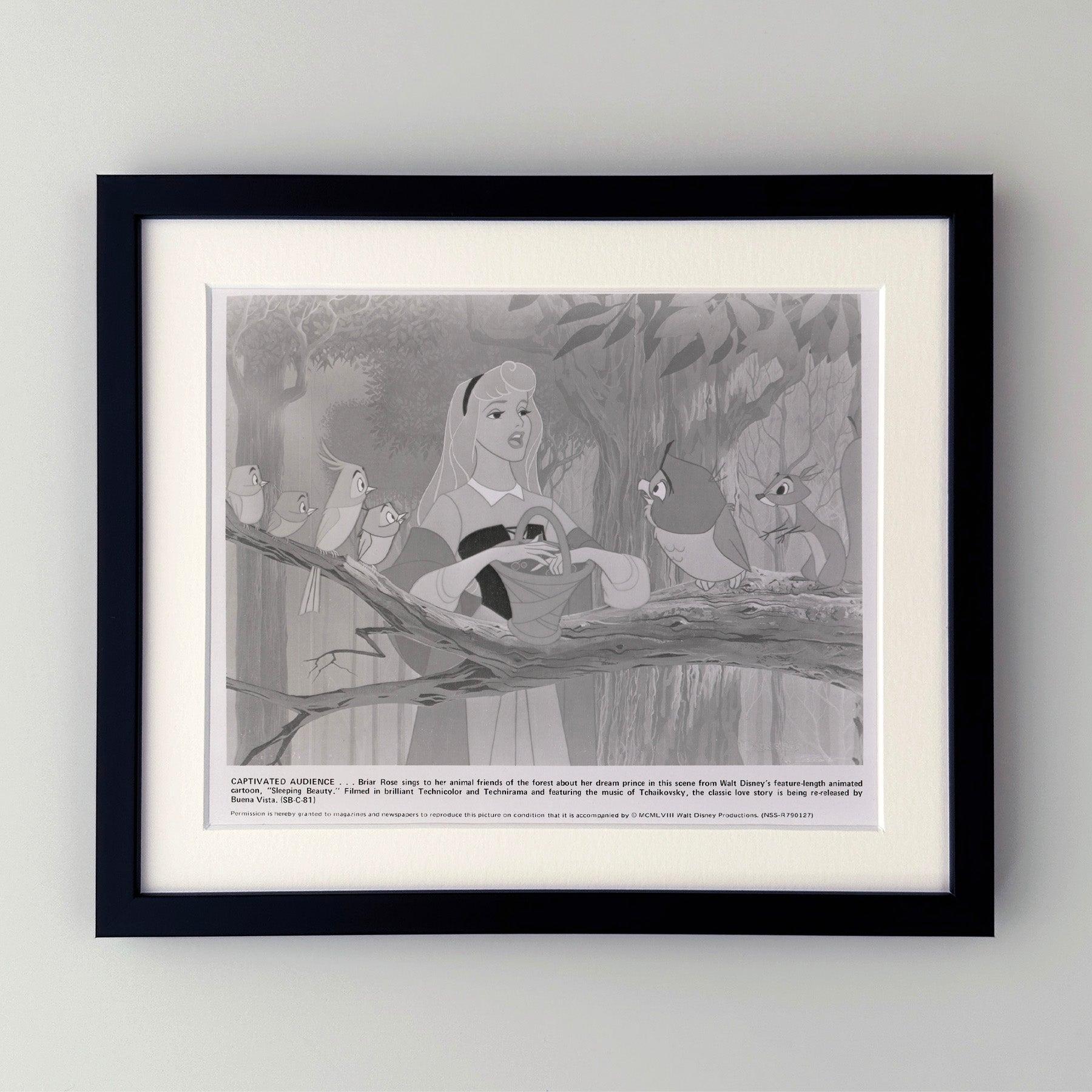 Original 8x10 inches Press Publicity Still pour Sleeping Beauty (1959) avec Mary Costa, Bill Shirley et Eleanor Audley et réalisé par Clyde Geronimi.

Les photos de publicité (film/production) ont été créées pour aider les studios à promouvoir leurs