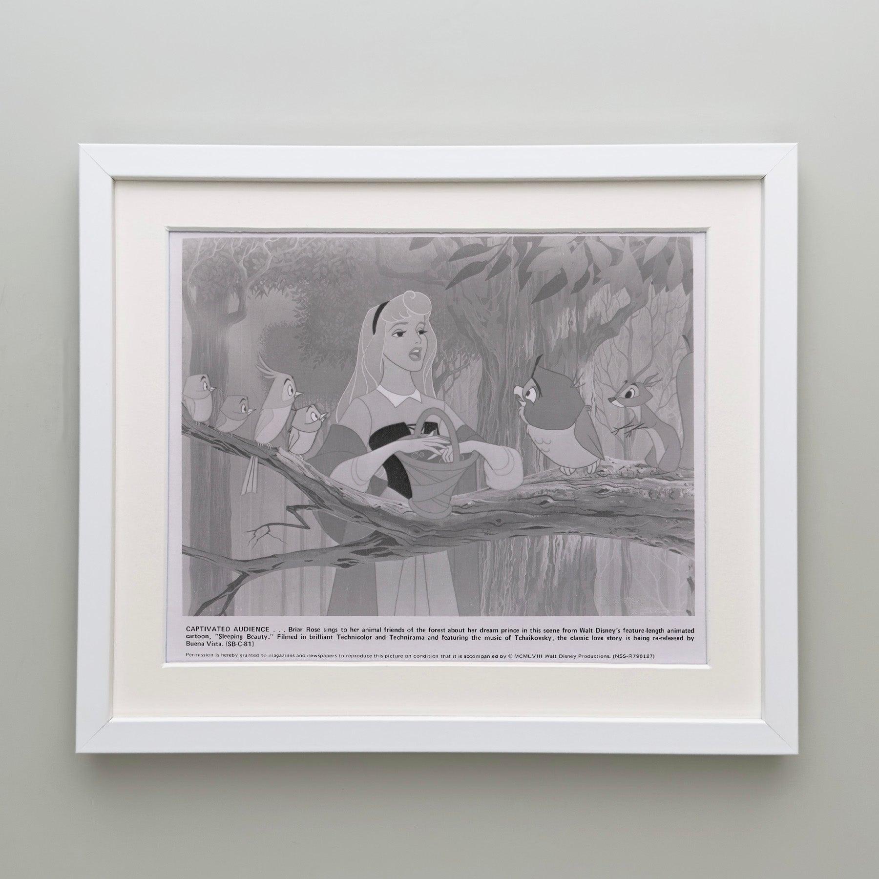 La Belle au Bois Dormant (1959) Publicité pour la presse - Encadré Excellent état - En vente à Bath, Somerset