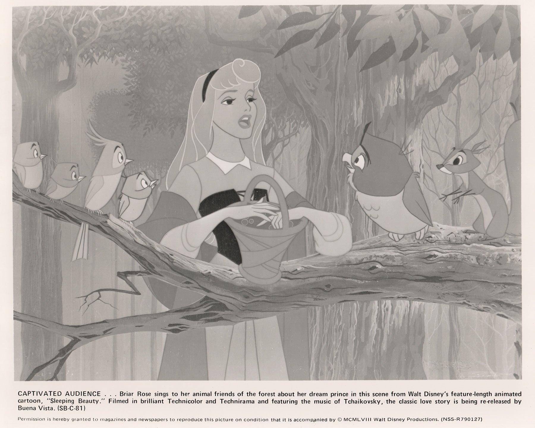 La Belle au Bois Dormant (1959) Publicité pour la presse - Encadré en vente 1