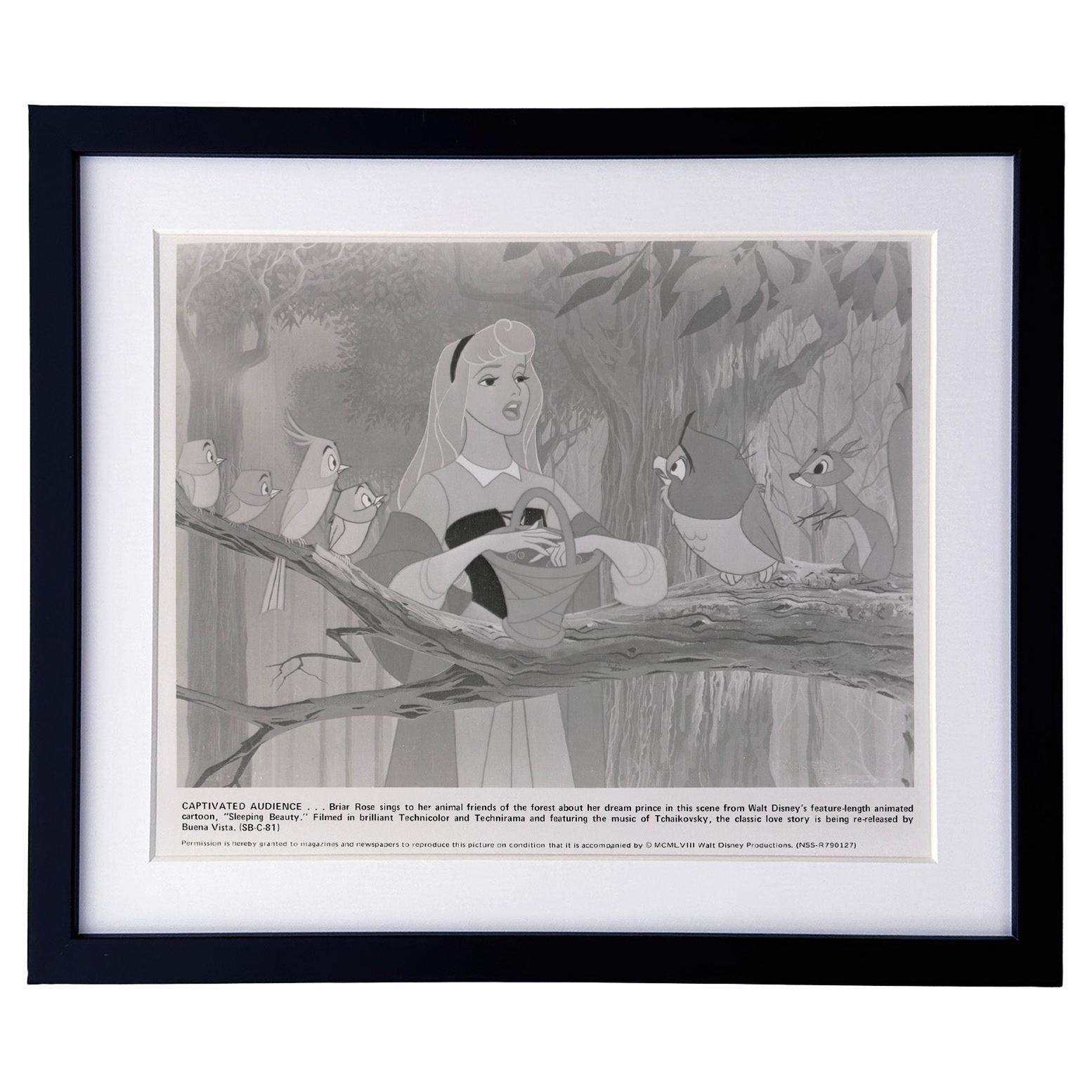 Sleeping Beauty (1959) Press Publicity Still - Framed