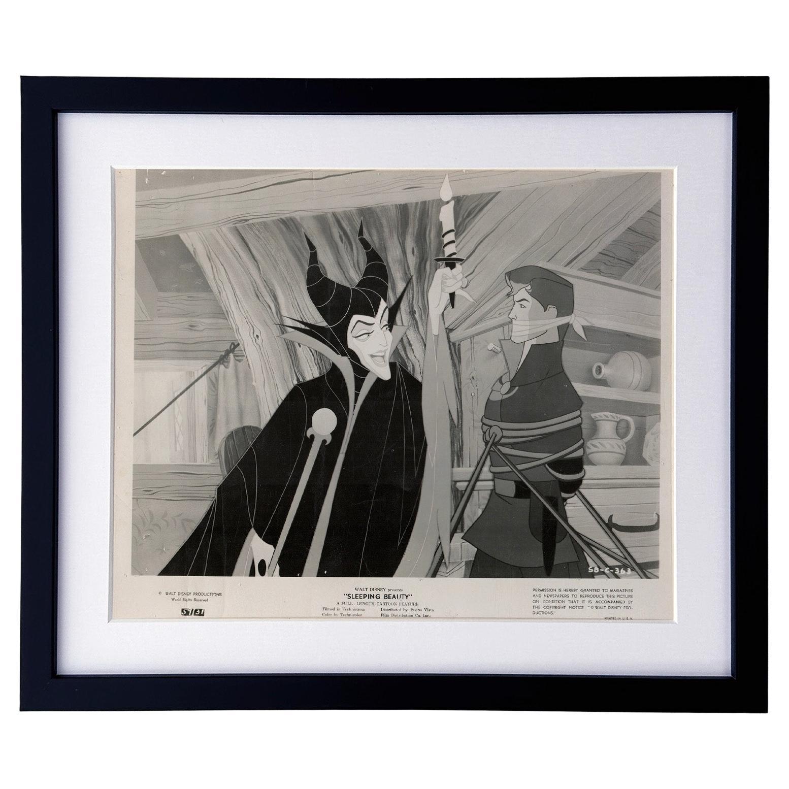 Dornröschen (1959) Pressestatement - gerahmt