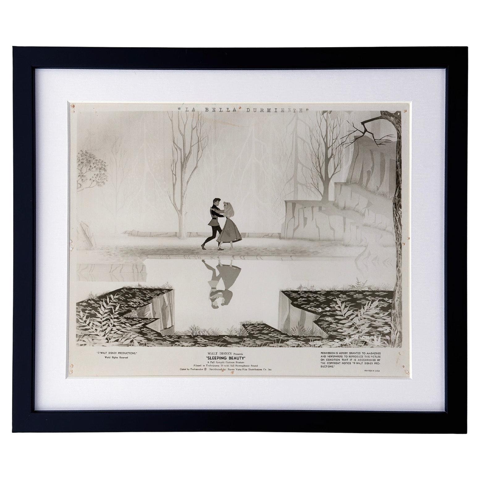 Dornröschen (1959) Pressestatement - gerahmt