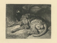 Sleeping Hound with a Plumed Helmet, Antique Etching by W. Wise, circa 1880