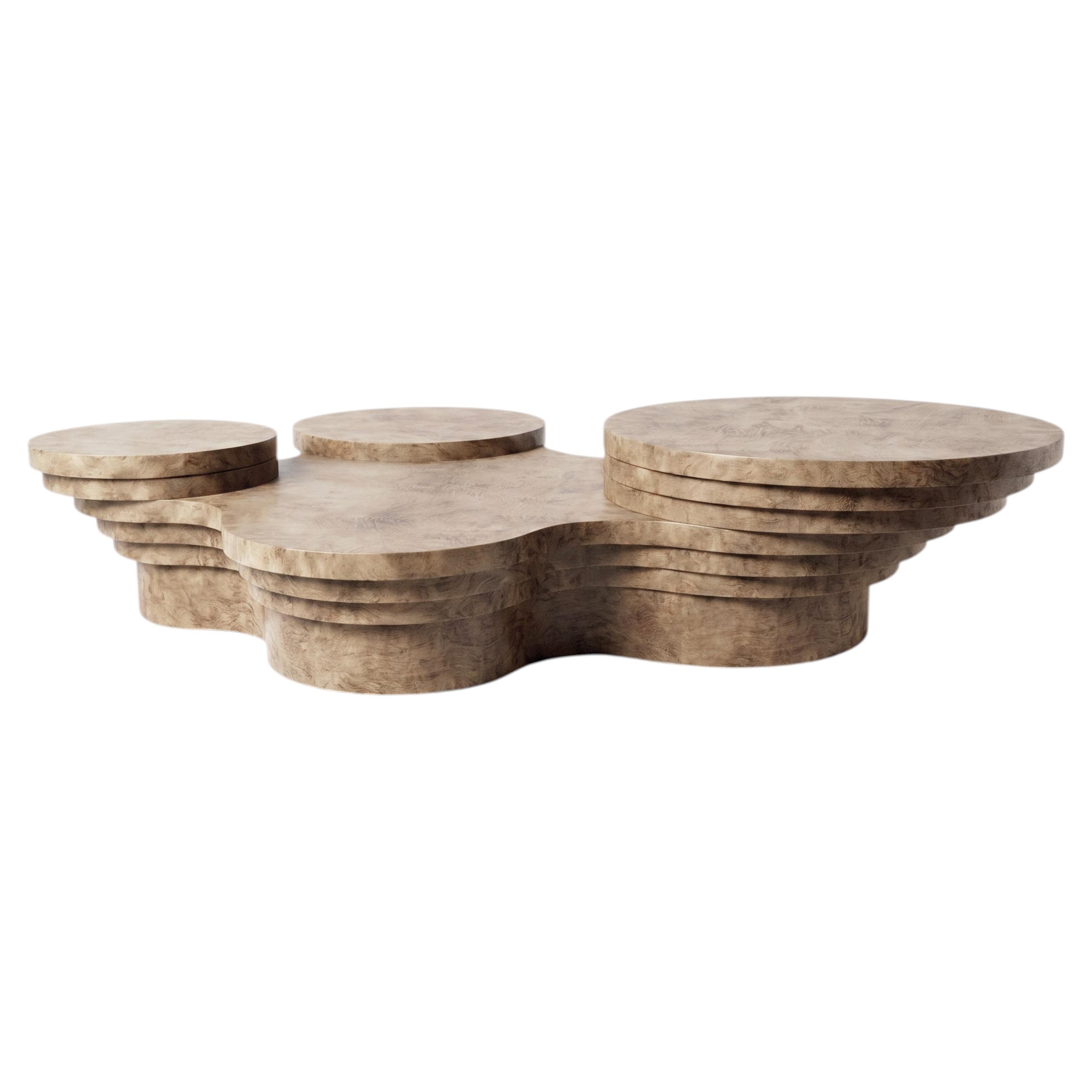 Slice Me Up Coffee Table in Eucalyptus Pomele Wood by Pietro Franceschini For Sale