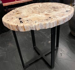 Sliced Petrified Wood Side Table, Indonesia, Contemporary