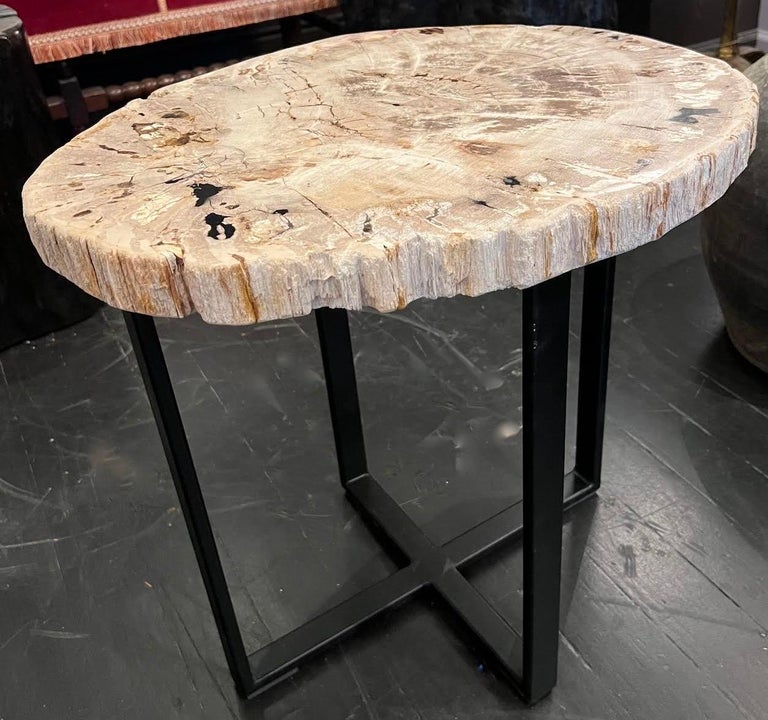 Contemporary Indonesian thick slice petrified wood side table
Polished stone
Sits atop steel base
Also coffee table available ( F2907 ).