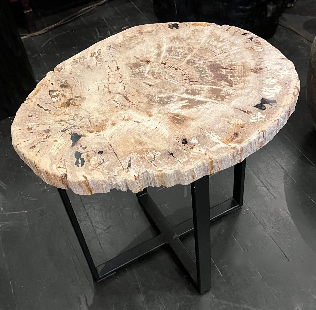 Table d'appoint en bois pétrifié tranché, Indonésie, contemporaine Neuf - En vente à New York, NY