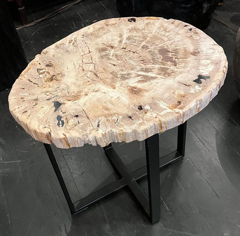 Sliced Petrified Wood Side Table, Indonesia, Contemporary In New Condition For Sale In New York, NY