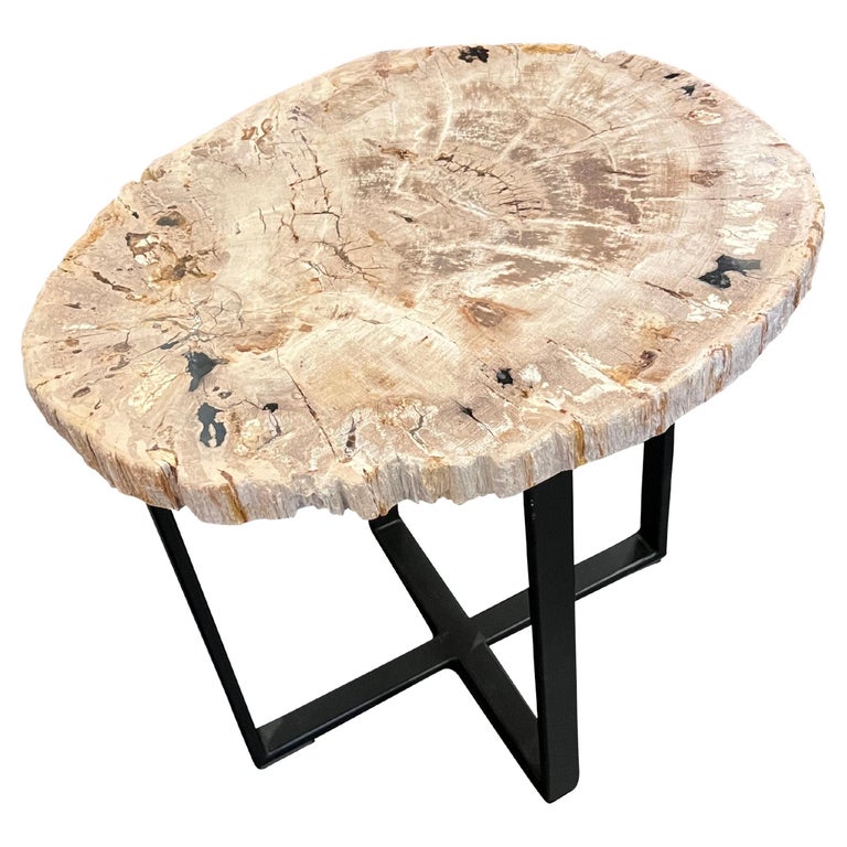 Sliced Petrified Wood Side Table, Indonesia, Contemporary For Sale