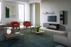 Slide Tv Stand 2 Doors 1 Niche