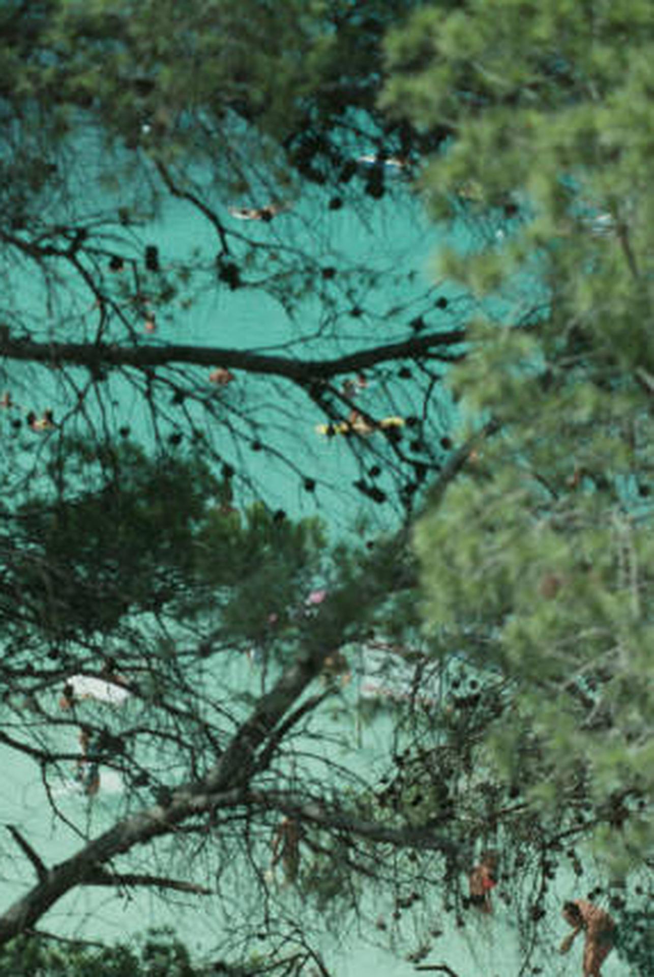 Beach Near Portinatx, Ibiza, Estate Edition, Landscape Photograph For Sale 2
