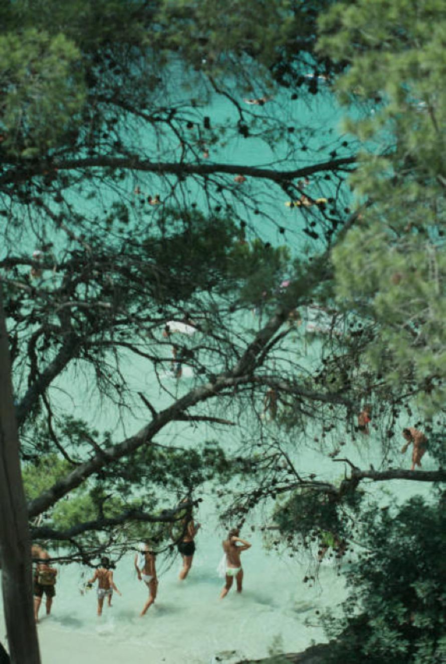 Strand in der Nähe von Portinatx 
1989
von Slim Aarons

Slim Aarons Limited Estate Edition

Urlauber durch die Bäume gesehen, an einem Strand bei Portinatx, Ibiza, Spanien, 1989. 

ungerahmt
C Typ Druck
gedruckt 2023
20 × 16 Zoll -