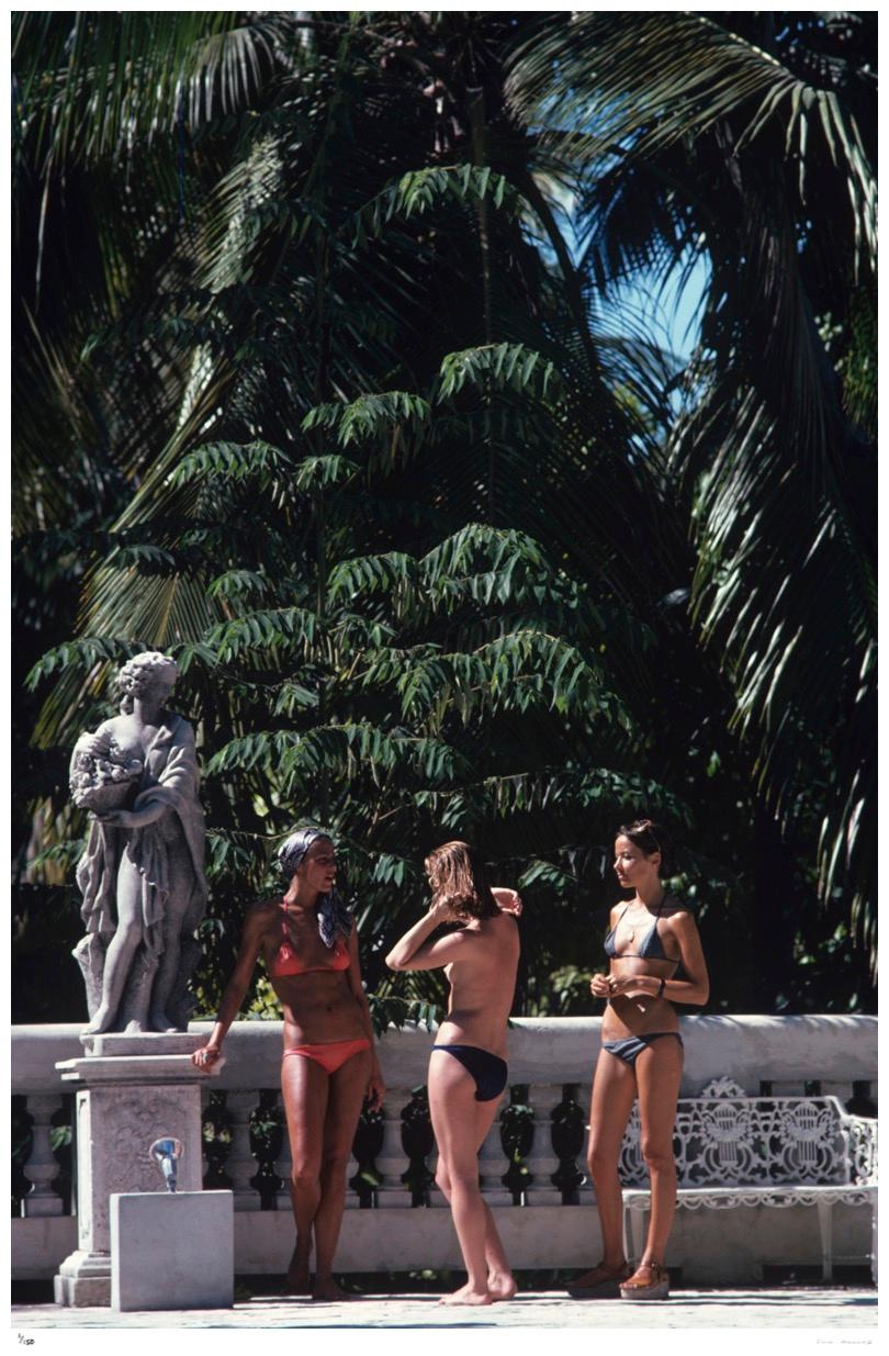 Árbol Fotografía figurativa