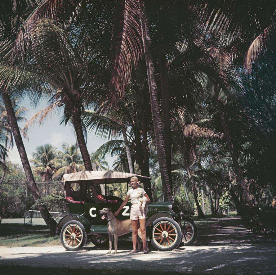 C Z And Friends 
1955
by Slim Aarons

Slim Aarons Limited Estate Edition

American socialite Mrs. Winston F. C. Guest (aka C. Z. Guest, 1920 – 2003) with her personalized Ford Model T tourer, in the company of a poodle and a Great Dane, Palm Beach,
