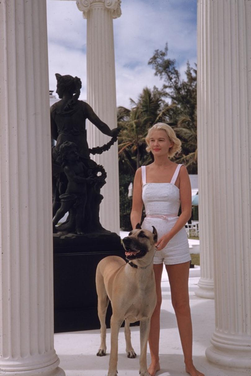 C. Z. Guest With Her Great Dane 
1955
by Slim Aarons

Slim Aarons Limited Estate Edition

American socialite C.Z. Guest (Mrs Winston F.C. Guest) (1920 – 2003) with a large Great Dane dog, at her Grecian temple pool on the ocean-front estate, Villa