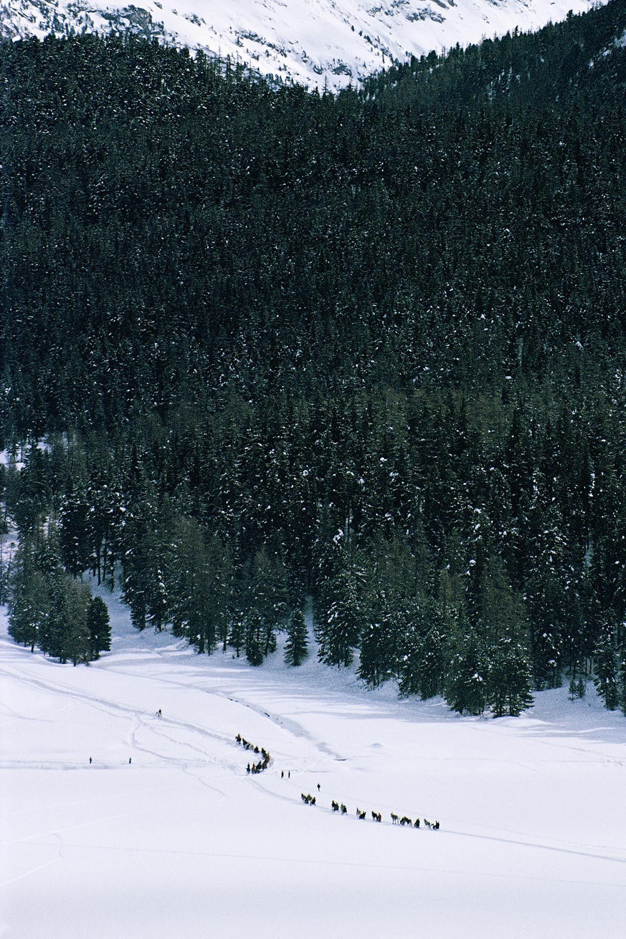 Una fila di slitte che attraversa un campo di neve a St. Moritz, Svizzera, marzo 1963. 

Slim Aarons Estate Edition, Certificato di Autenticità incluso
Numerato e timbrato dalla Slim Aarons Estate
Il collezionista riceverà il numero successivo