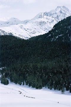 Vintage Crossing Snow Field, Estate Edition