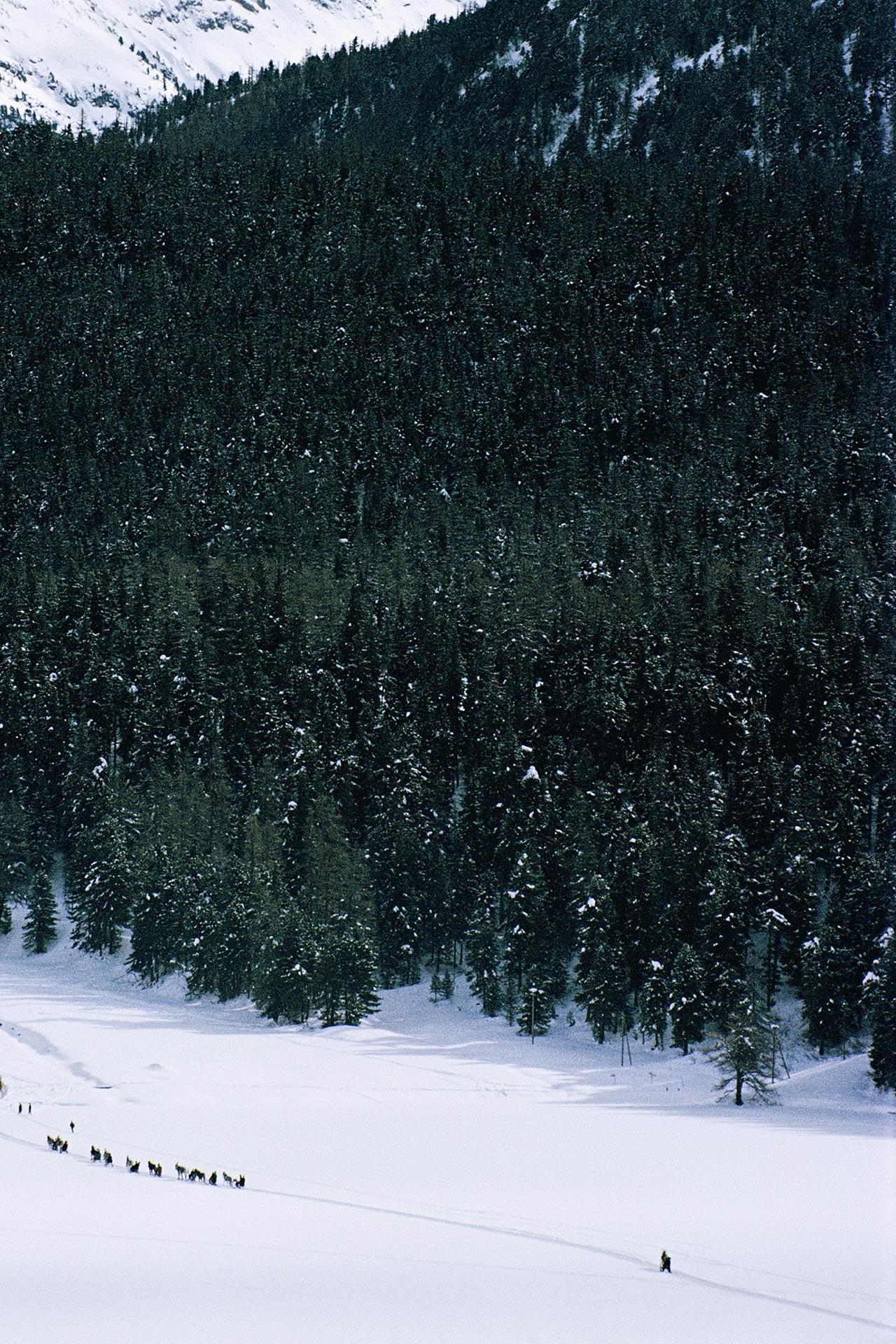 Attraversare il campo di neve, edizione Estate in vendita 3