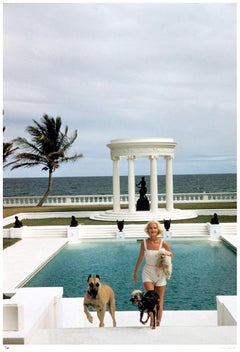 CZ’s Dogs 1955 - Slim Aarons Estate Stamped