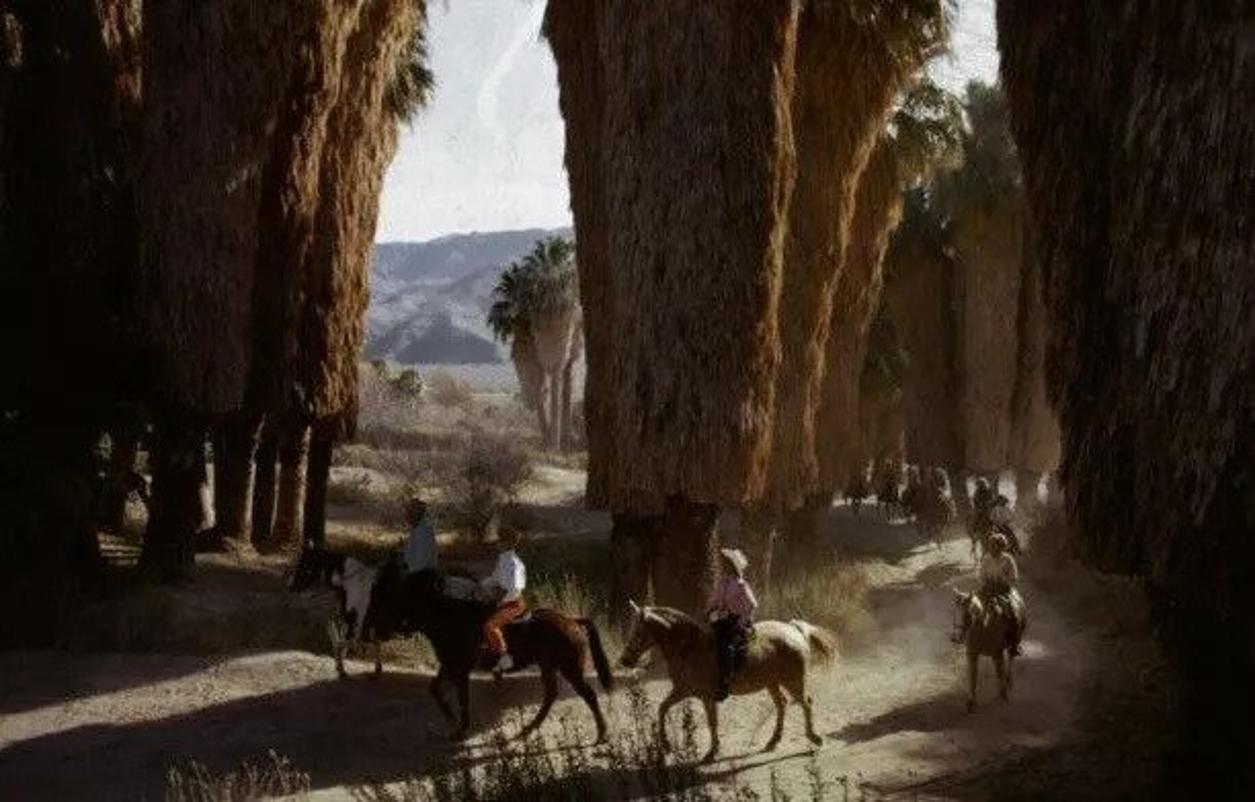 Early Riders 
1970
by Slim Aarons

Slim Aarons Limited Estate Edition

Former mayor Frank Bogert leads an early-morning ride through Andreas Canyon in Palm Springs, southern California, January 1970. A Wonderful Time – Slim Aarons 

unframed
c type