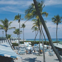 Florida Palms (1978) - Limited Estate Stamped  