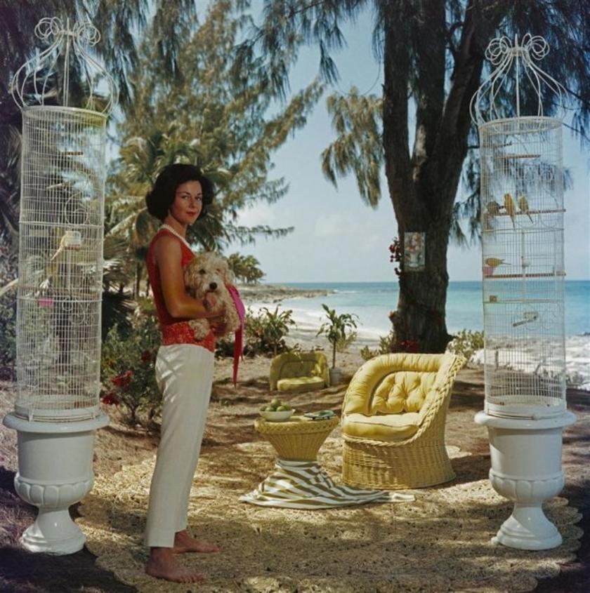 Gloria Schiff 
1963
por Slim Aarons

Slim Aarons Edición Limitada Estate

 Gloria Schiff, hermana gemela de Consuelo Crespi, con su perro y sus pájaros de compañía en Lyford Cay, Bahamas.

sin enmarcar
c escribir imprimir
impreso 2023
20 x 20"  -