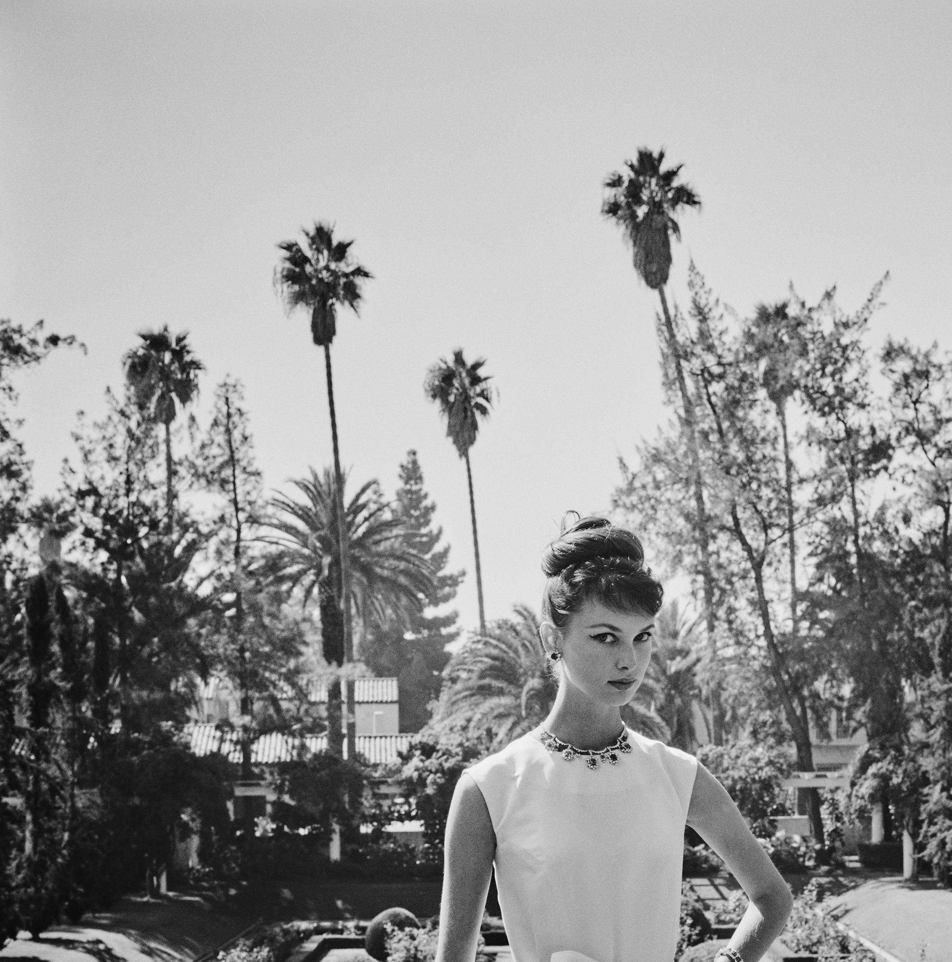 Gretchen Van de Kamp Ward En Gustave Tassell, Beverly Hills, Estate Edition, Fotografía Retrato

En este retrato de 1960, realizado por el fotógrafo de sociedad Slim Aarons, aparece la modelo Gretchen Van de Kamp Ward con un vestido de Gustave