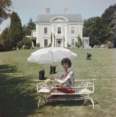 Azafata Hamilton