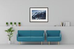 Deltaplane, Autriche, Edition Modern, Photographie du milieu du siècle dernier