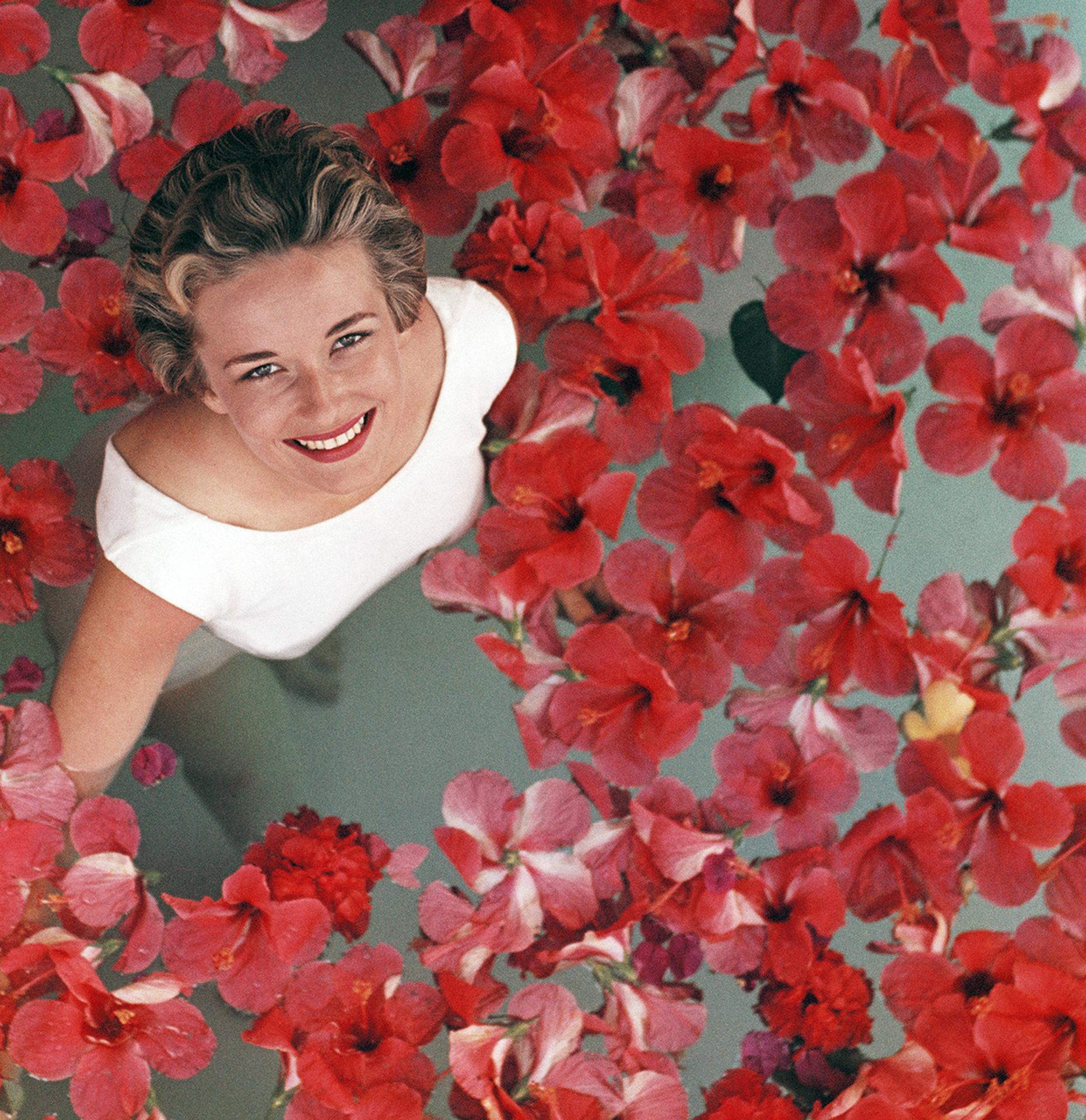 Fleurs d'hibiscus en vente 1