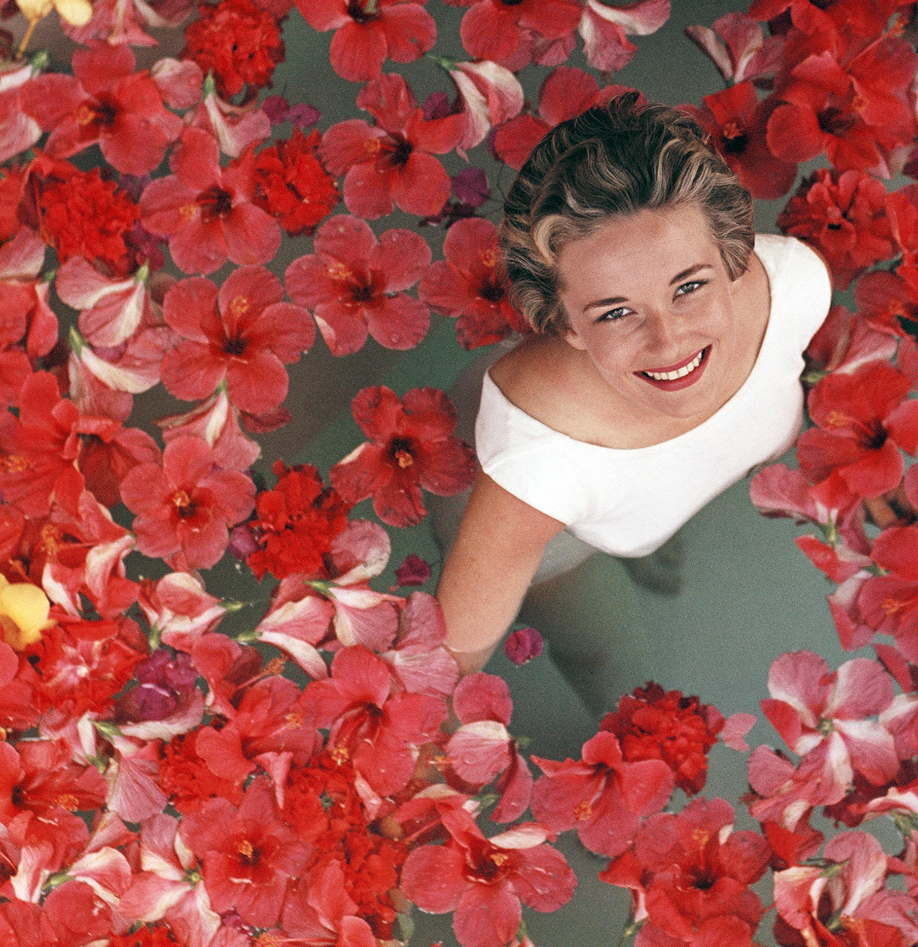 Fleurs d'hibiscus en vente 2