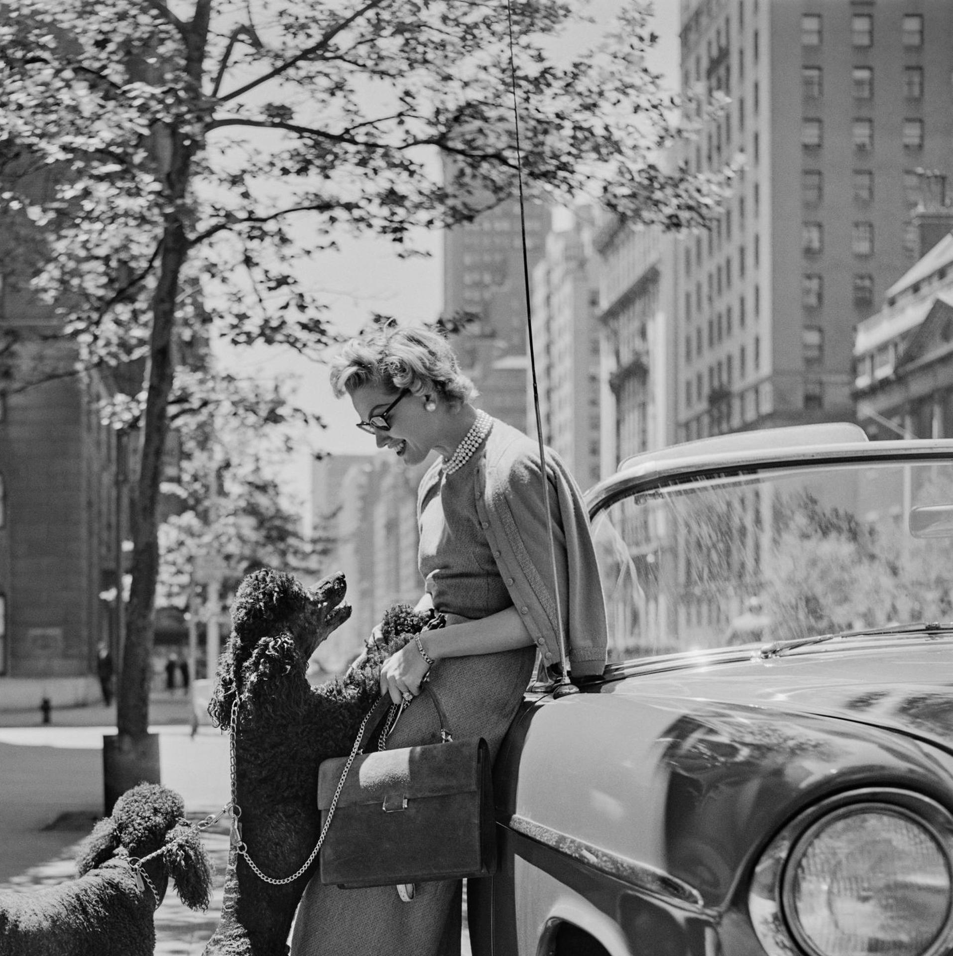 Inga Lindgren And Poodles, New York, Nachlassausgabe, Porträtfotografie im Angebot 1