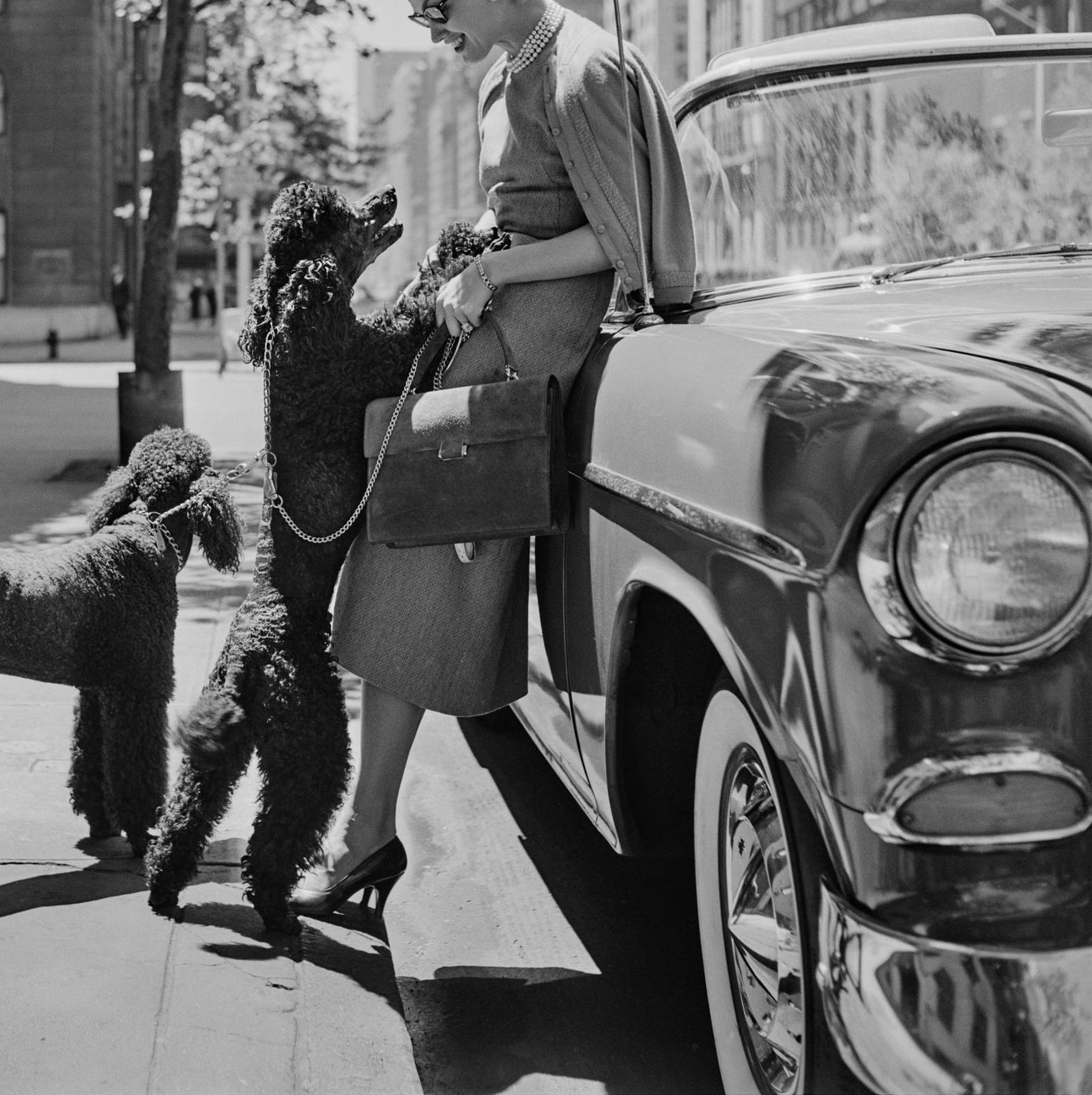Inga Lindgren y los caniches, Nueva York, Estate Edition, Fotografía de retrato en venta 2