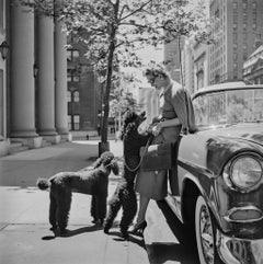 Vintage Inga Lindgren And Poodles, New York, Estate Edition, Portrait Photograph