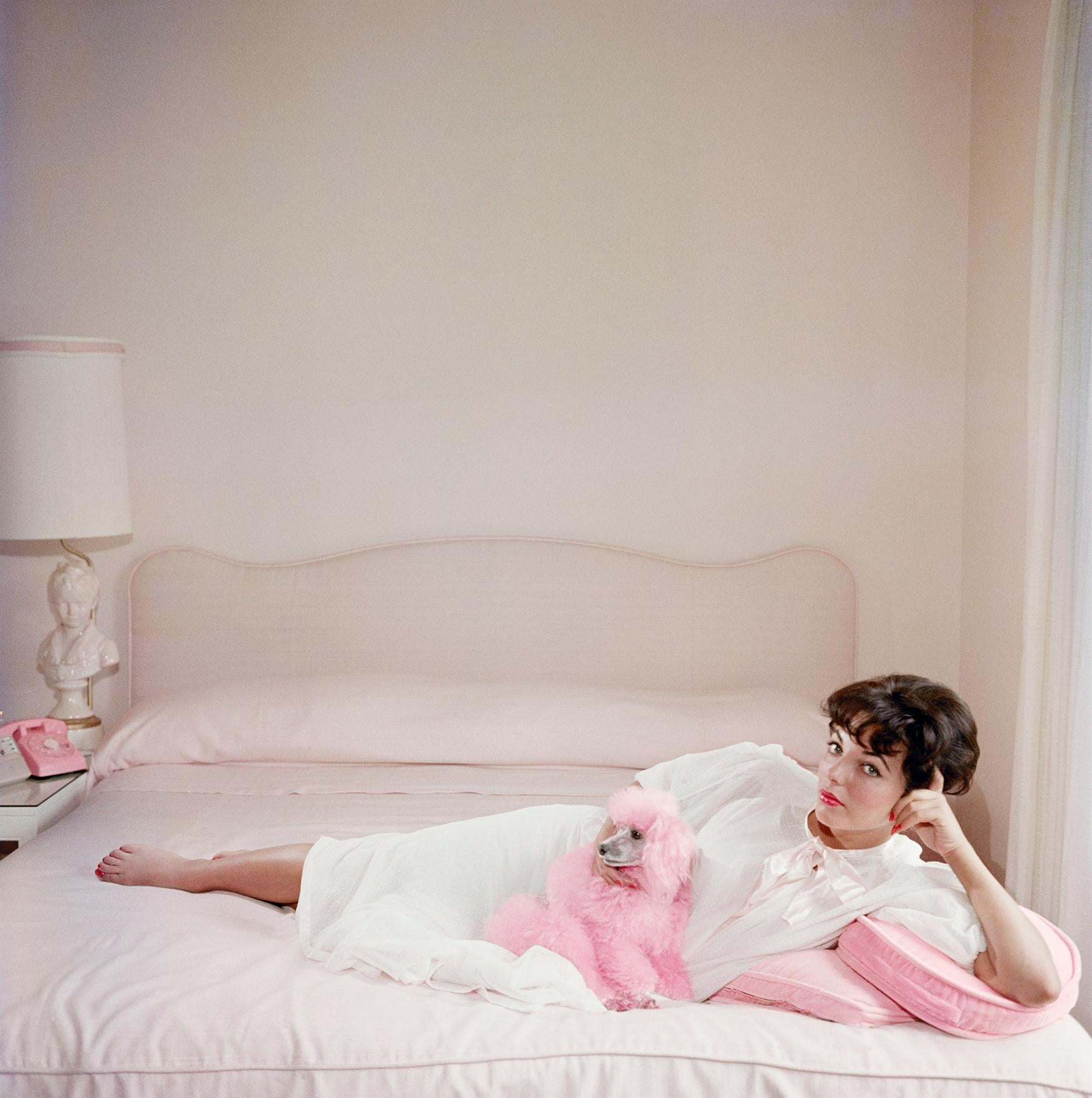 Filmstar Joan Collins entspannt sich mit ihrem rosa Pudel auf ihrem rosa Bett.

Schlanke Aarons
Joan Collins entspannt sich, Estate Edition
Chromogener Lambda-Druck
1955, Später gedruckt
Slim Aarons Estate Edition
Kostenloser Versand an Ihren