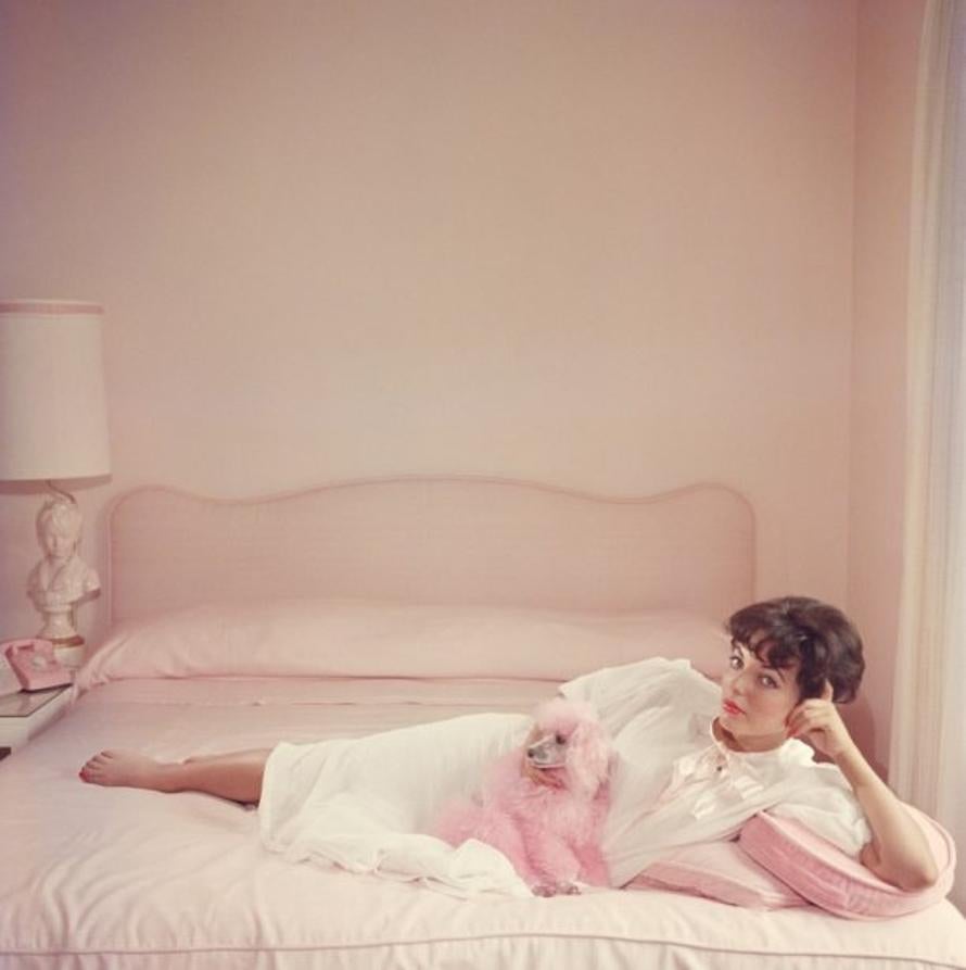 Joan Collins Relaxes 
1955
by Slim Aarons

Slim Aarons Limited Estate Edition

Film star Joan Collins relaxes with her pink poodle on her pink bed.

unframed
c type print
printed 2023
16×16 inches - paper size


Limited to 150 prints only –