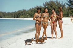 Damas de Lyford Cay