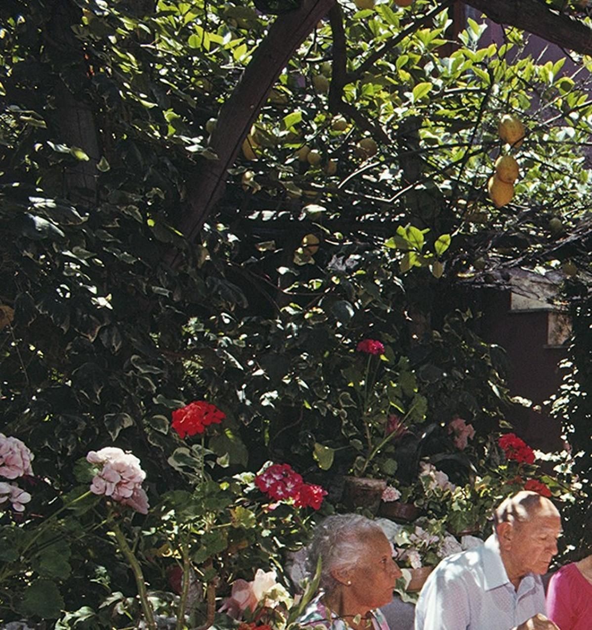 Lunch at La Pigna, 1980 - Lemon Trees at Iconic Italian Ristorante on Capri - American Modern Photograph by Slim Aarons