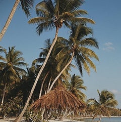 Minnie and Dru Montagu - Couple Poses for Photograph on Sandy Beach under Palms
