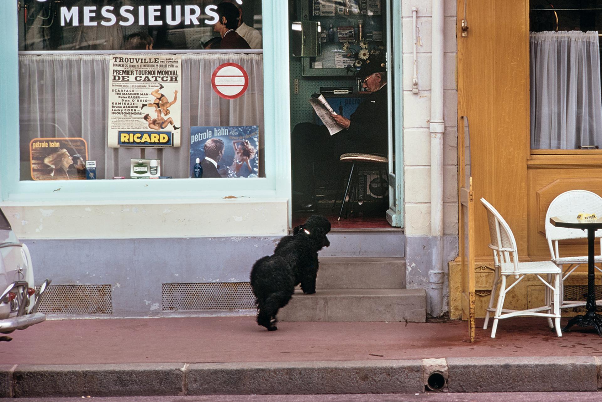 Nicely Coiffed, France, Estate Edition, Cityscape Photograph For Sale 3